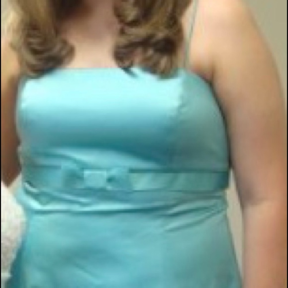 David’s Bridal bridesmaid dress